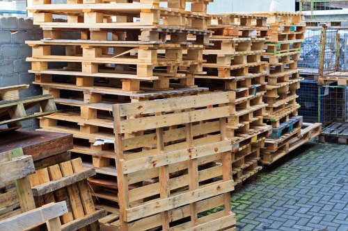 Company team assessing a garden clearance site in Dulwich